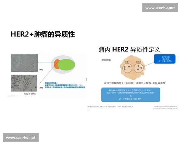 从对位焦点出发重构文本意义与话语结构分析路径理论与实践启示