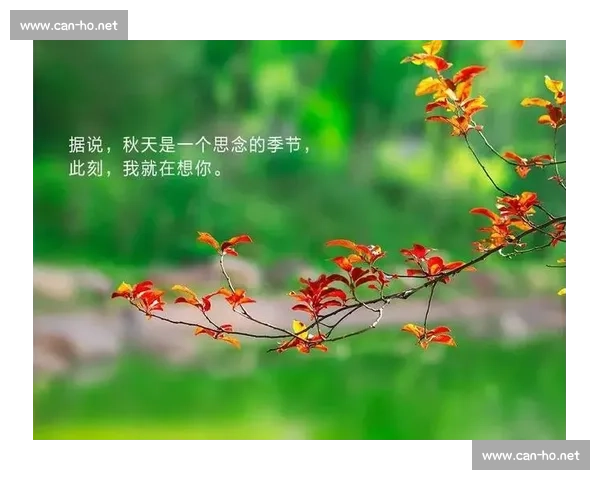 在三分雨下的时光里寻找人间温柔与生长的答案与希望之路回声故事