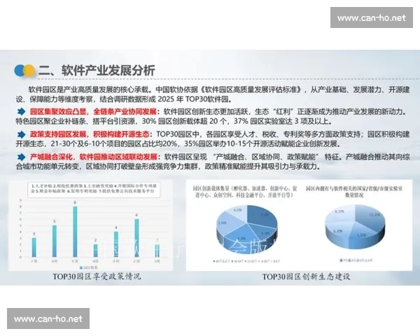 巨星效应驱动下的品牌扩张与社会影响力重构路径机制与未来趋势分析